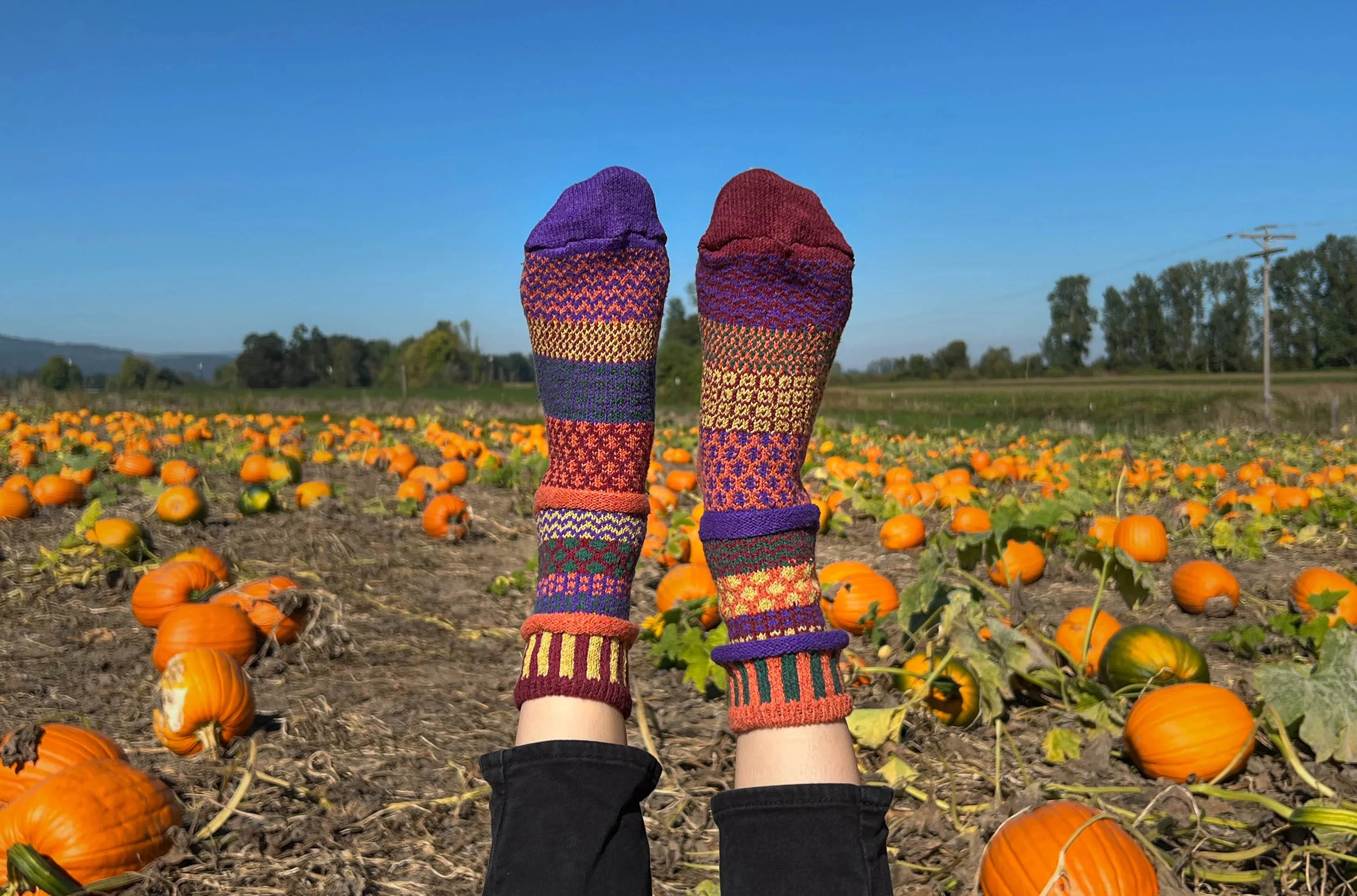 Fall Foliage Recycled Cotton Crew Socks