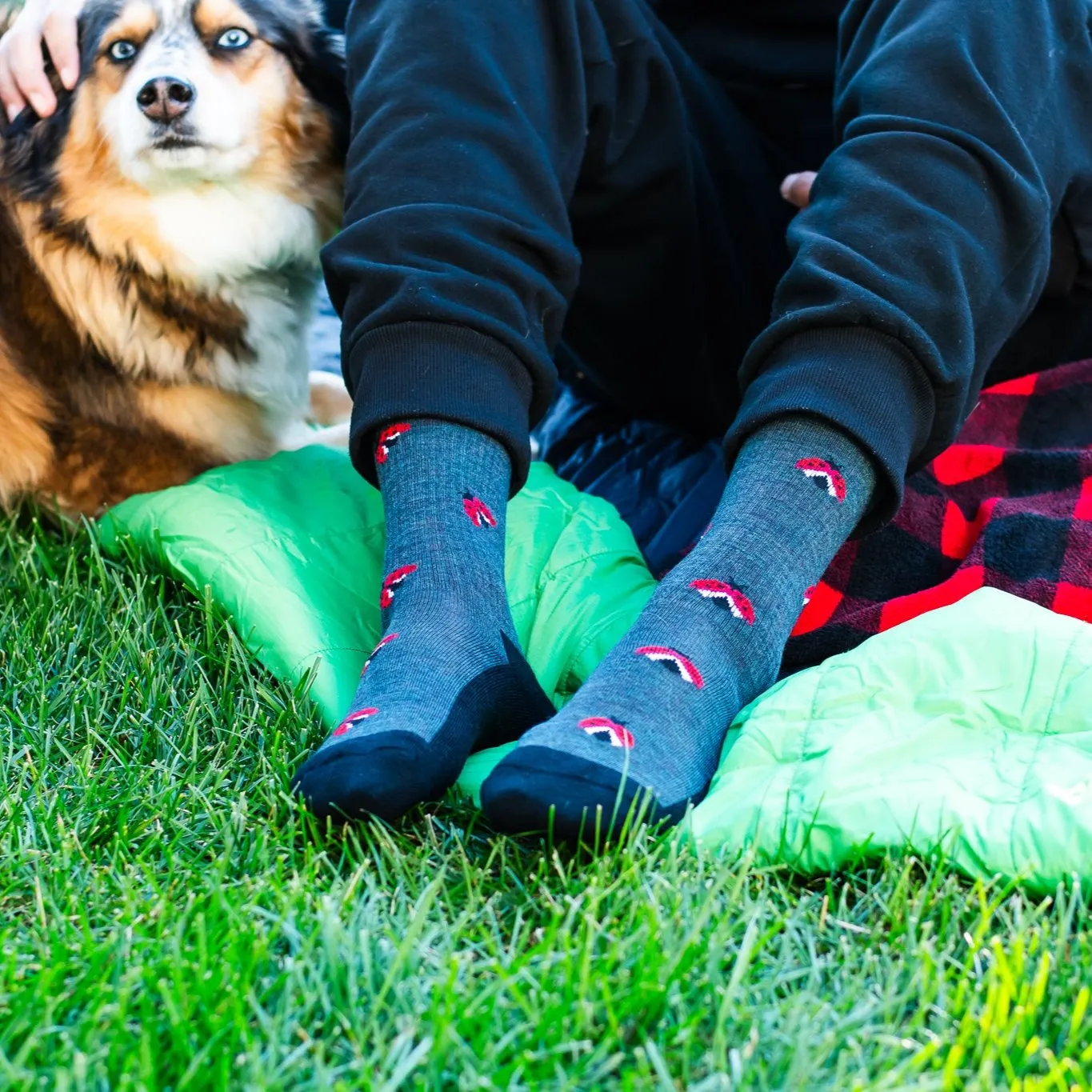 Women's Ladybug Merino Wool Socks